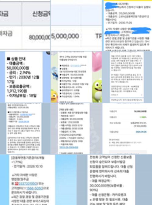 정책자금 승인 원본 화면